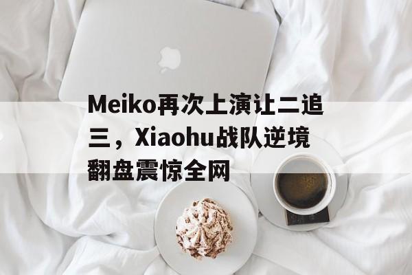 九游游戏盒子下载安装-Meiko再次上演让二追三，Xiaohu战队逆境翻盘震惊全网