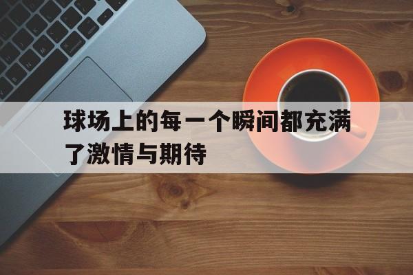 球场上的每一个瞬间都充满了激情与期待