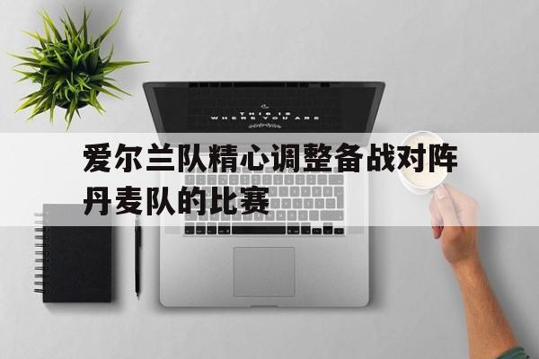 爱尔兰队精心调整备战对阵丹麦队的比赛
