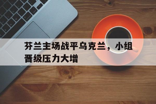 芬兰主场战平乌克兰，小组晋级压力大增
