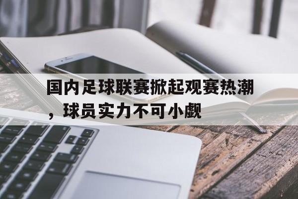 九游游戏盒子下载安装-国内足球联赛掀起观赛热潮，球员实力不可小觑